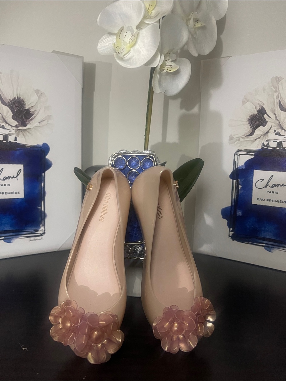Melissa Nude Jelly Flats with Pink Floral Appliqués